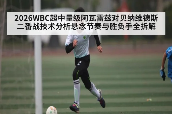 2026WBC超中量级阿瓦雷兹对贝纳维德斯二番战技术分析悬念节奏与胜负手全拆解